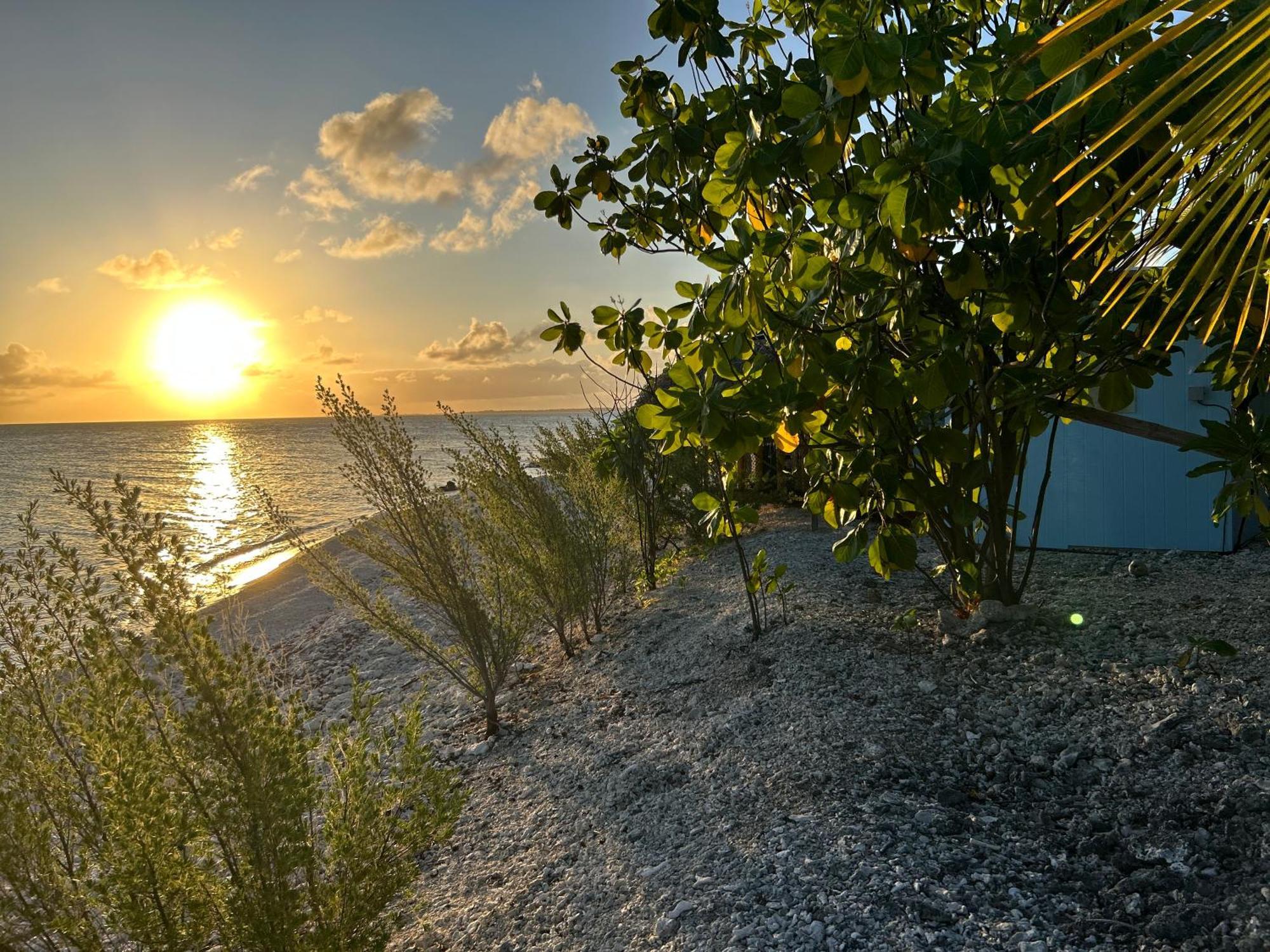 Rangiroa Bliss Hotel Tiputa Bagian luar foto