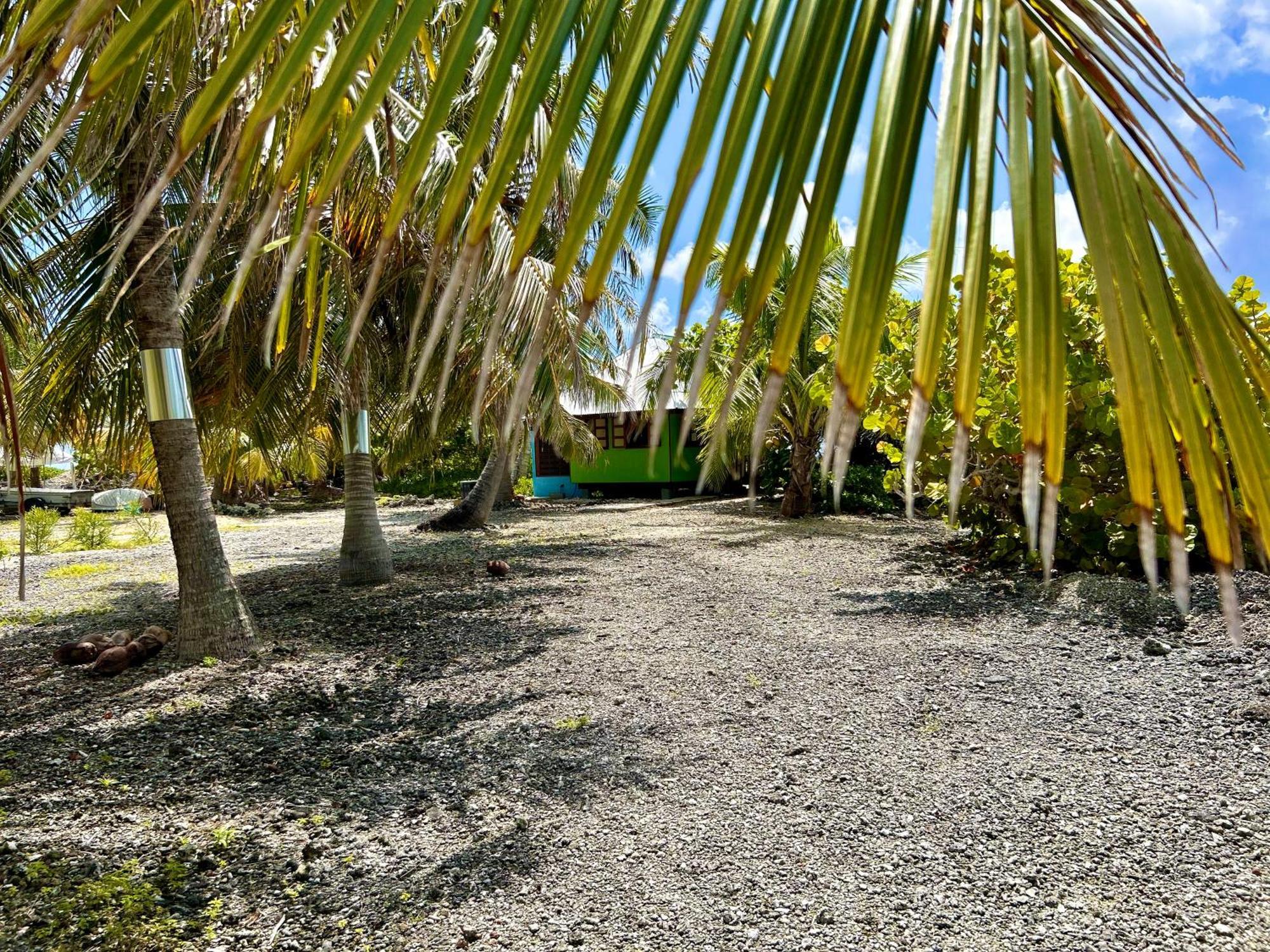 Rangiroa Bliss Hotel Tiputa Bagian luar foto