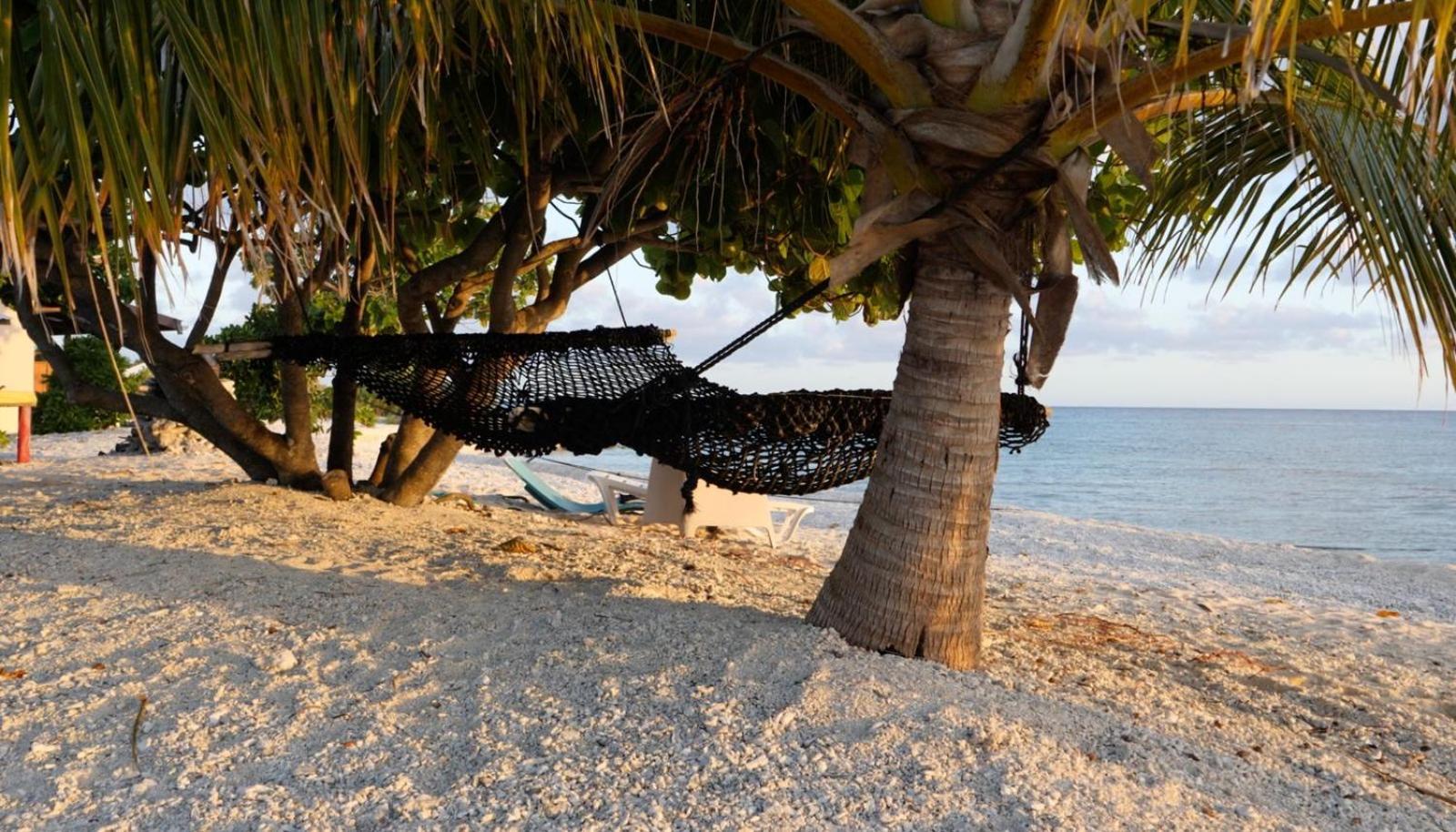 Rangiroa Bliss Hotel Tiputa Bagian luar foto